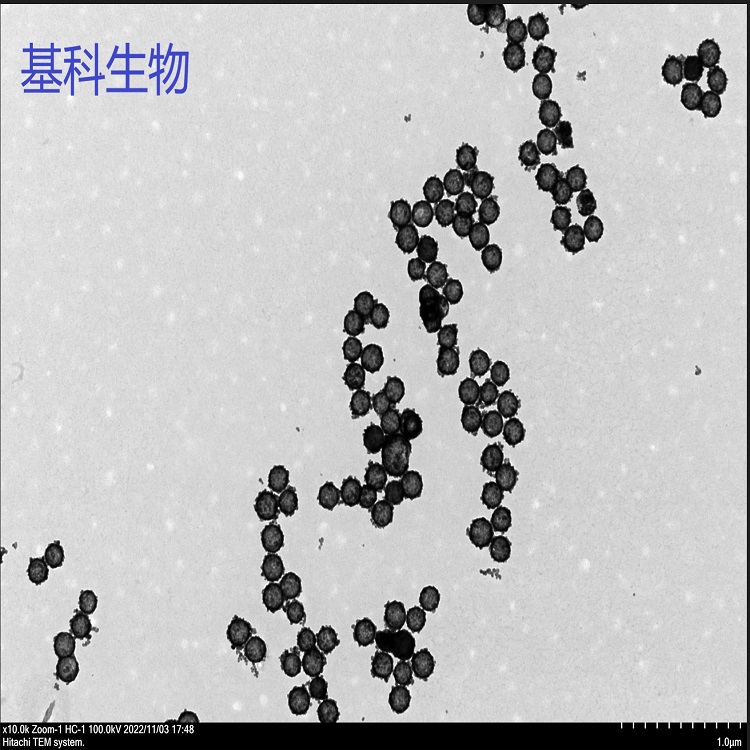 中空介孔氧化鈰